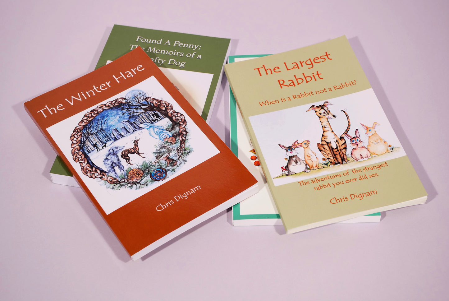 The Largest Rabbit (Book)