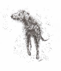 Finn, Deerhound, Deerhounds, Magig, Mighty Finn