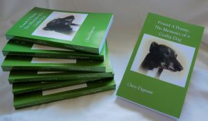 Greyhound, Penny, Crafty Dog, Pennys Book, Chris Dignam, Peny's Book, the story of the Crafty Dog