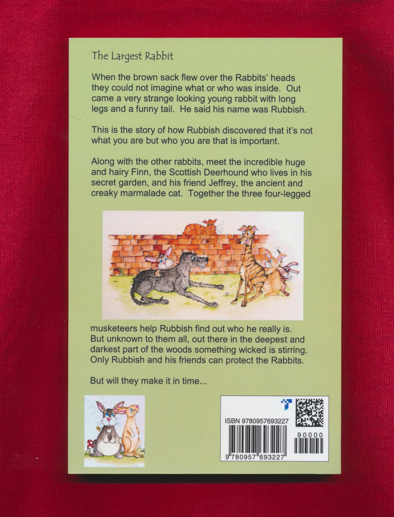 The Largest Rabbit (Book)