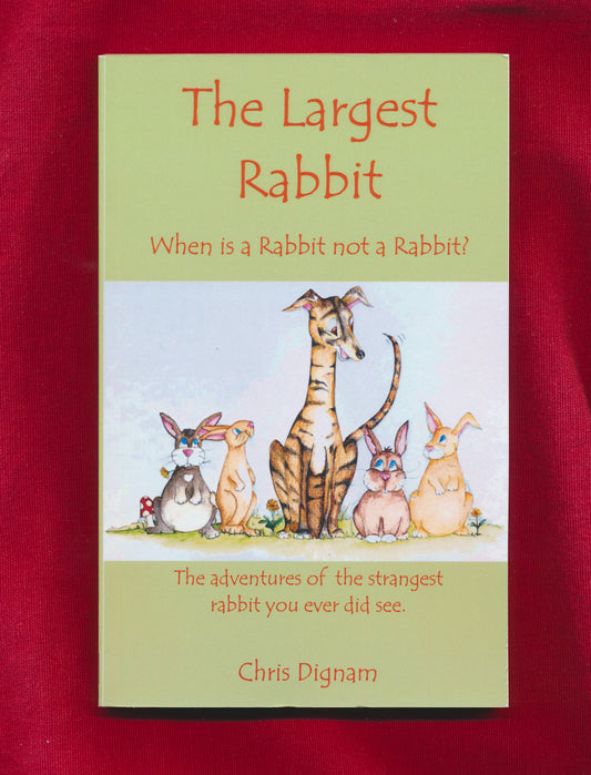 The Largest Rabbit (Book)