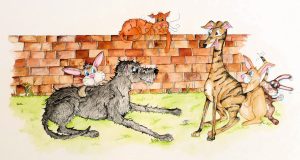 Finn, Jeffrey, Rubbish the Rabbit Hound, Marmalade Cat, Greyhound