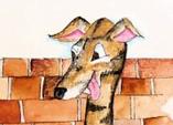 Rubbish, Largest Rabbit, Greyhound, Brindle